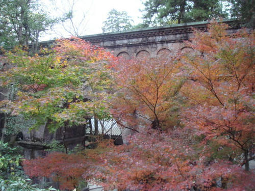 20091116kouyou6.jpg