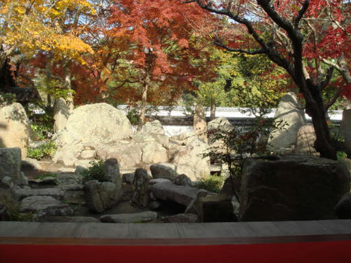 kouyou2009-2.jpg