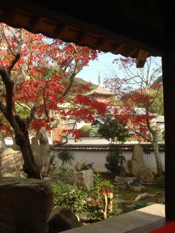 kouyou2009-3.jpg