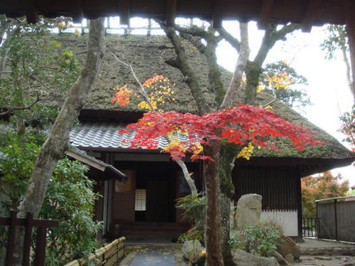 kouyou2009-4.jpg