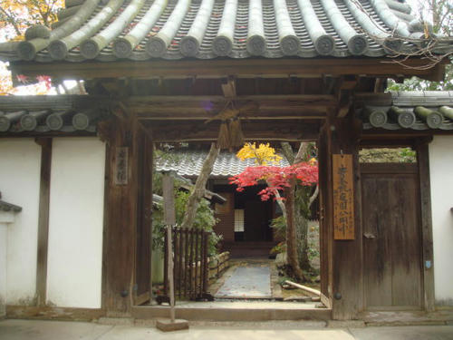 kouyou2009-5.jpg