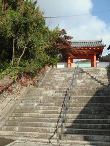 kouyou2009-6.jpg