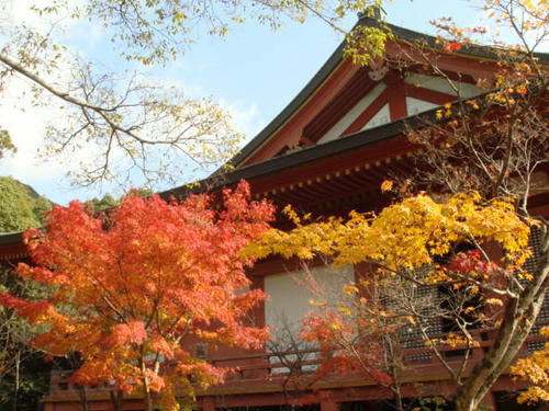 kouyou2009-7.jpg