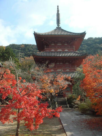 kouyou2009-9.jpg