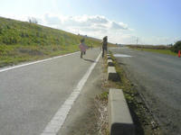 SN390092.jpg