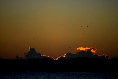 DSC_0595.JPG