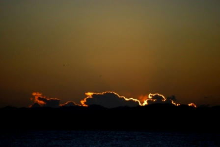 DSC_0599.JPG