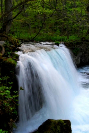DSC_0255.JPG