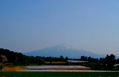 DSC_0110.JPG