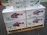 CA340003.JPG
