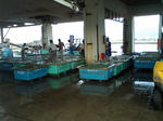 88139b69.jpg