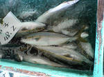 f4be5a48.jpg