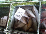 487644f4.jpg