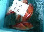 0d6158fd.jpg