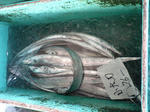 baac7515.jpg