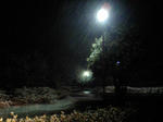 CA340020.JPG