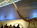 f881b175.JPG