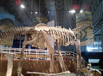 2069ea80.JPG