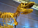 f611d3d2.JPG