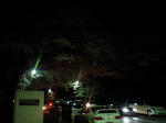 dca80921.JPG