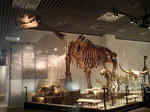 b1b72f26.JPG