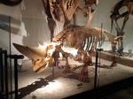 c7645f5b.JPG