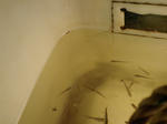 CA340026.JPG