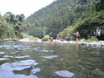 61488c7c.JPG