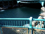 107e3c7c.JPG