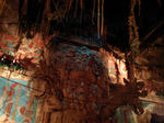 228f885d.JPG