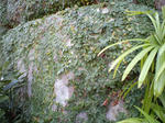 64957f14.JPG