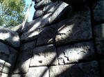 673e6c52.JPG