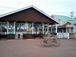 4f934454.JPG