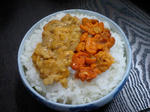 ff1681d4.JPG