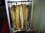 CA3I0050.JPG