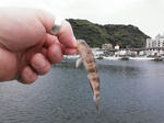 NCM_0018.JPG