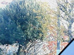 20071201133620.jpg
