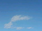 20071209131226.jpg