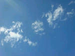 20071209131305.jpg