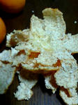 20081203204422.jpg