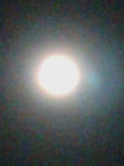 20081212183103.jpg