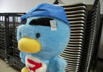 DSCN1108.JPG