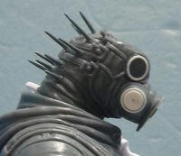 kaiman01.JPG