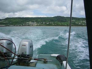 IMG_1415.JPG