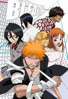bleach.jpg
