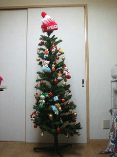 christmastree2008.JPG