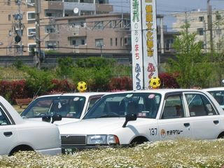 taxi.jpg