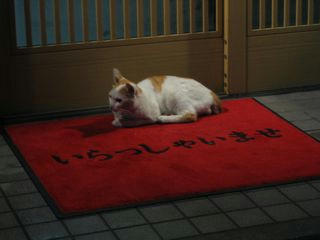 welcome.jpg