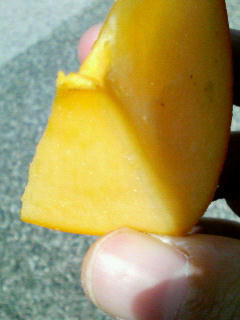 200910171208000.jpg
