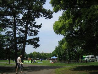 hiratsukapark.jpg